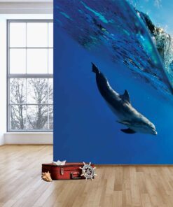 3D Wallpaper Animals Dolphin