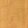 Belbien-W-787-Lia-Maple-(C)