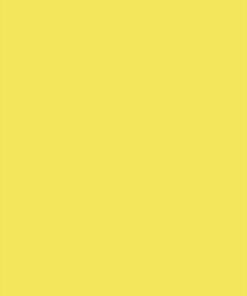 S166 Lemon Yellow