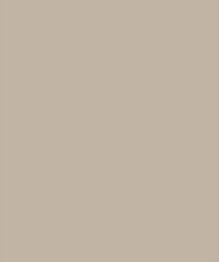 S181 Simply Taupe