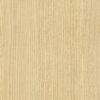 SPW66 Elm Origin