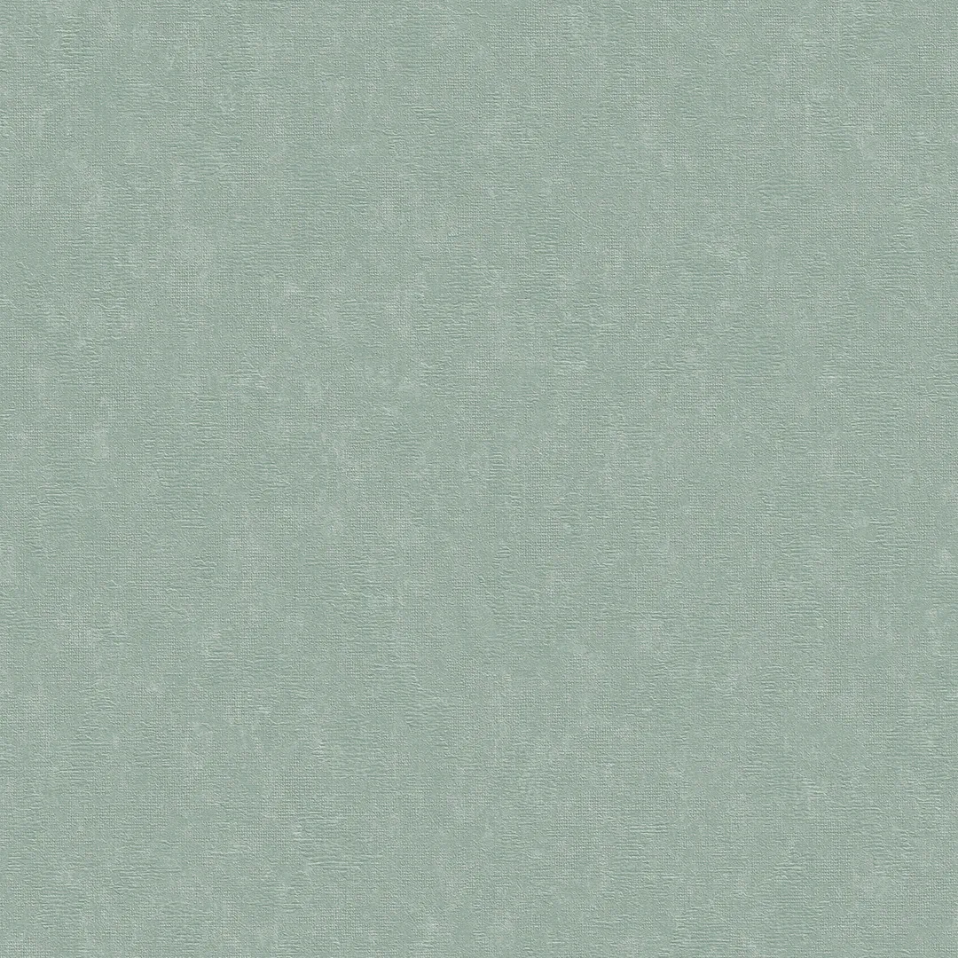 Nova 29240-20